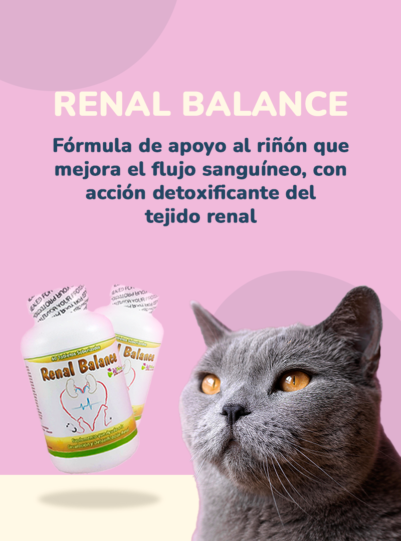 renal balance