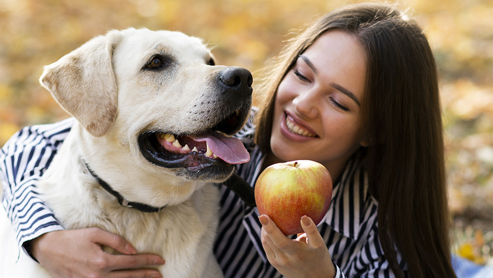 Frutas que pueden comer los perros