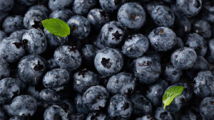 Frutas que pueden comer los perros