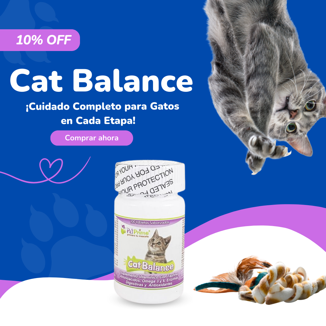 vitaminas para gatos