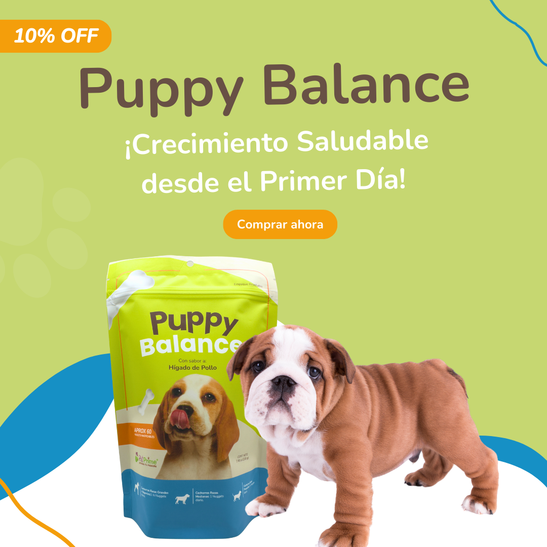 vitaminas para perros cachorros