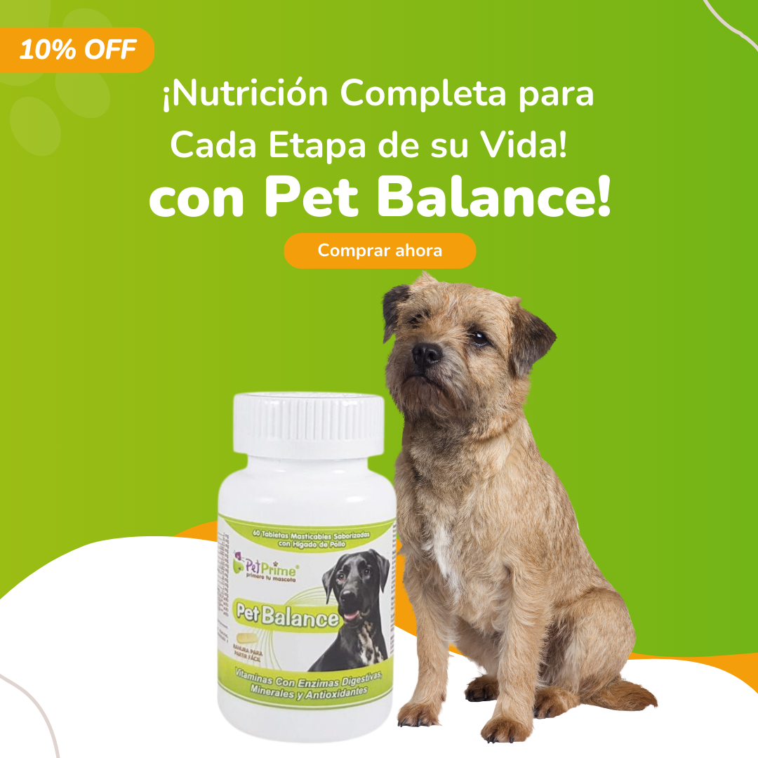 vitaminas para perros