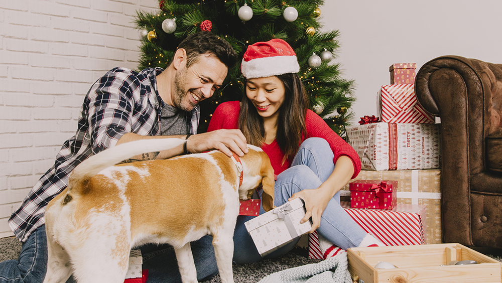 Regalos para Perros