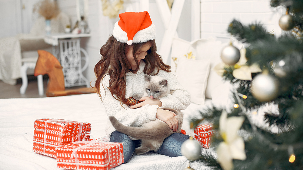 Regalos para gatos