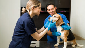 Nutracéuticos Pet Prime