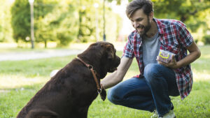 Beneficios de castrar a un perro