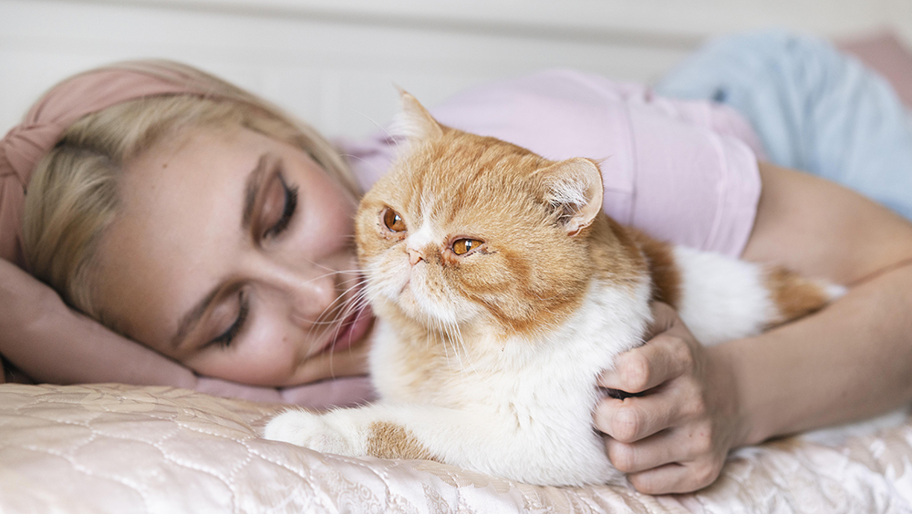 Dormir con gatos