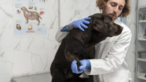 Parásitos intestinales en perros